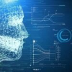 insights logicalshout